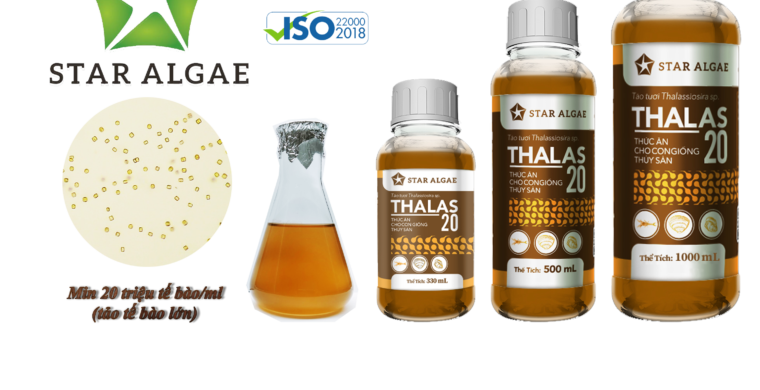 Thalassemia product for PL and Nano for seed mollusk